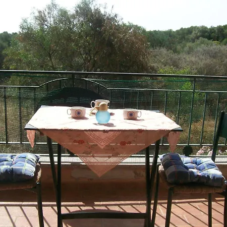 Ippocampo * Olbia